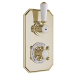 BC Designs Victrion 1 Outlet 2 Handle Brushed Gold Concealed Thermostatic Shower Valve Cut out